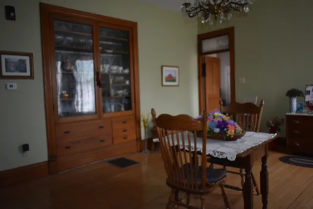 a dining room with furniture potted plants and wooden floor