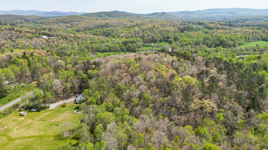 2001 Big Creek Road Ellijay, GA 30536 - Photo 11 of 73 a view of a forest with trees in the background