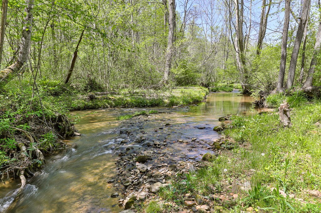 2001 Big Creek Road Ellijay, GA 30536 - Photo 12 of 73 a view of lake with green space