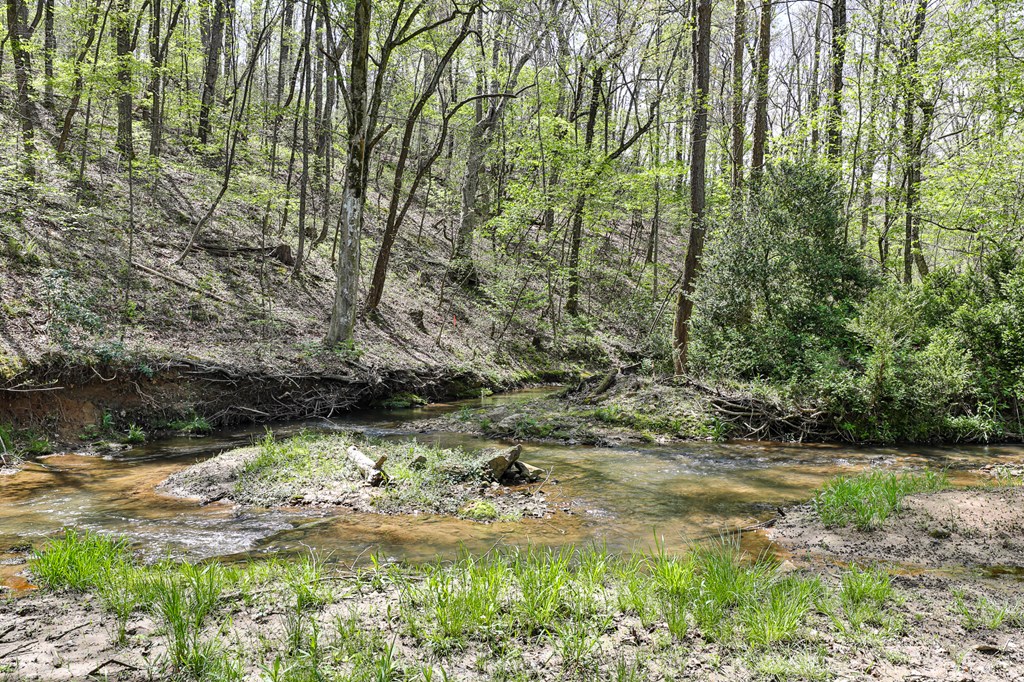 2001 Big Creek Road Ellijay, GA 30536 - Photo 15 of 73 a view of a lake with outdoor space