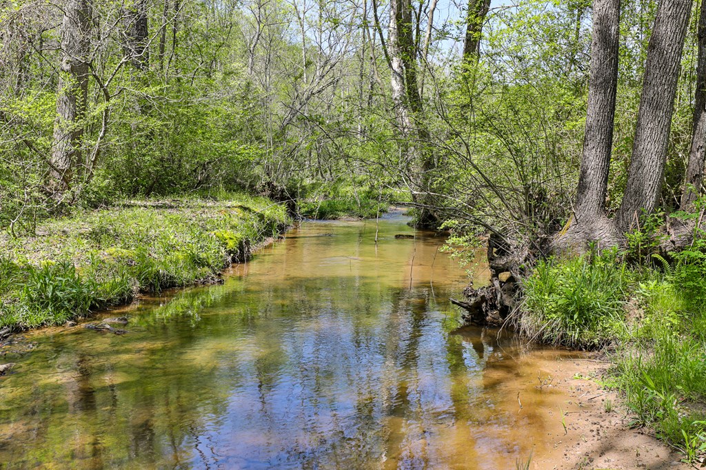 2001 Big Creek Road Ellijay, GA 30536 - Photo 16 of 73