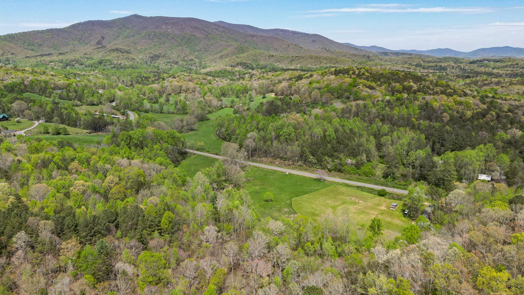 2001 Big Creek Road Ellijay, GA 30536 - Photo 5 of 73 a view of a lush green hillside and a mountain