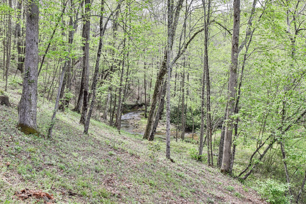 2001 Big Creek Road Ellijay, GA 30536 - Photo 51 of 73
