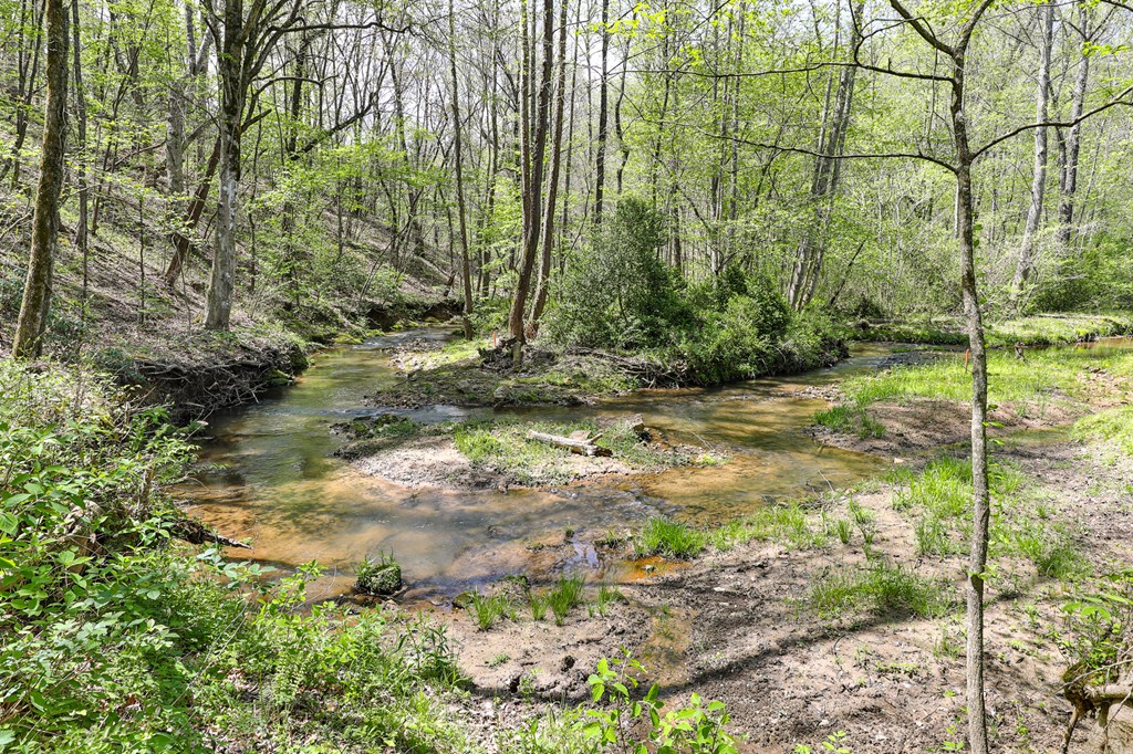 2001 Big Creek Road Ellijay, GA 30536 - Photo 61 of 73 a view of a backyard