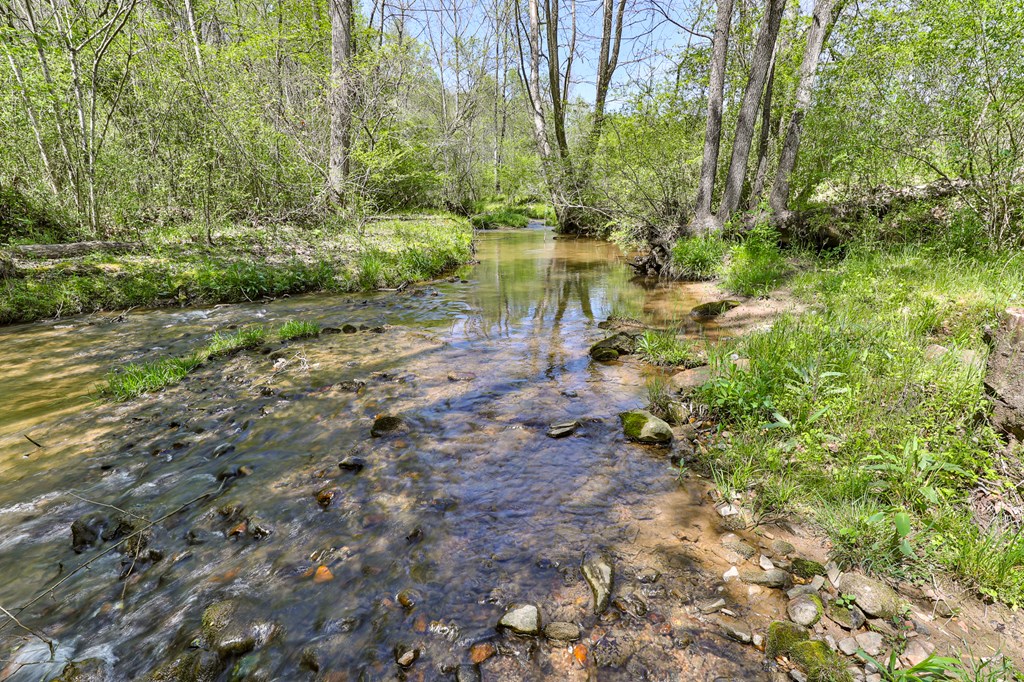2001 Big Creek Road Ellijay, GA 30536 - Photo 63 of 73