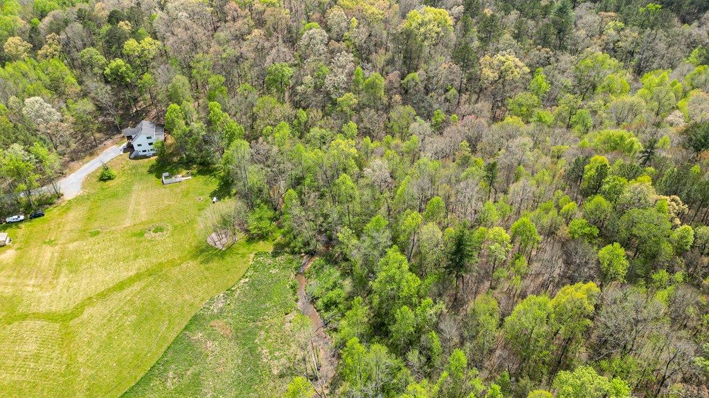 2001 Big Creek Road Ellijay, GA 30536 - Photo 68 of 73
