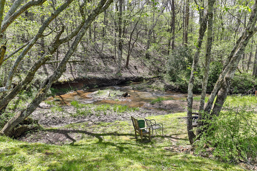 2001 Big Creek Road Ellijay, GA 30536 - Photo 8 of 73