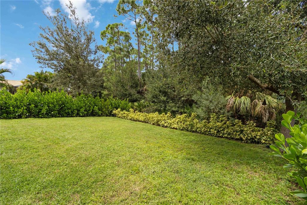 12252 Stuart Drive Venice, FL 34293 - Photo 40 of 70 a view of a yard with a trees