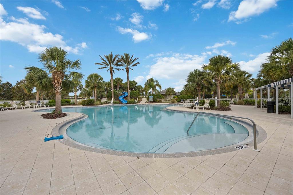 12252 Stuart Drive Venice, FL 34293 - Photo 67 of 70 a view of outdoor space yard and swimming pool