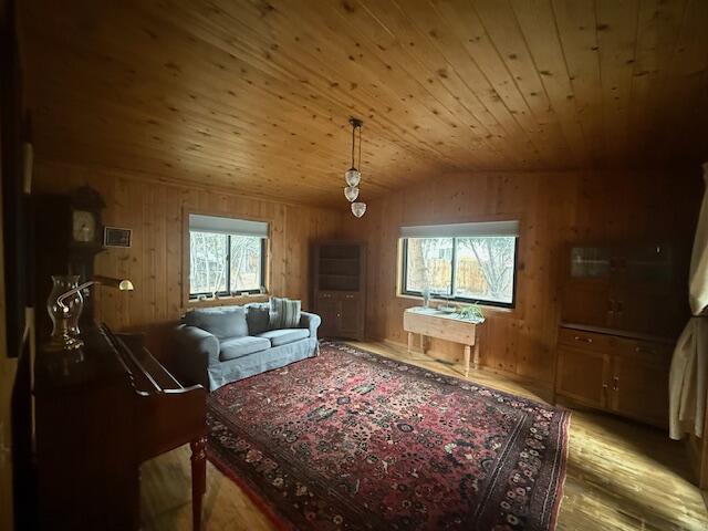 1594 Baldy View Drive Hailey, ID 83333 - Photo 8 of 10 IMG_1610