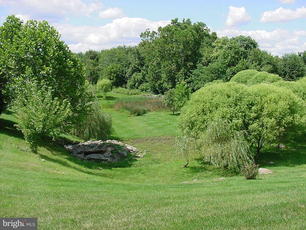 2430 Rippling Brook Road Frederick, MD 21701 - Photo 26 of 30 a big yard with lots of green space