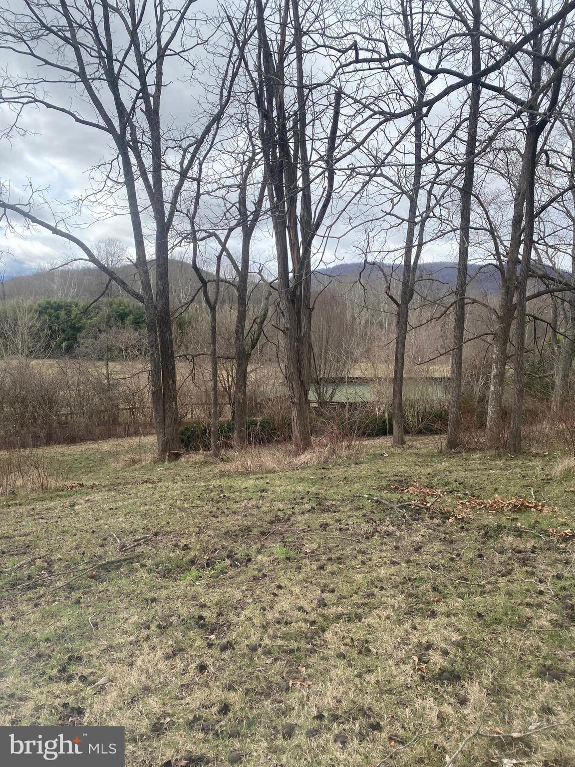 0 Tiger Valley Road Washington, VA 22747 - Photo 1 of 23 Lovely views from possible home site