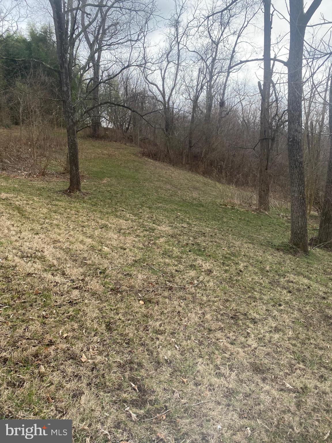 0 Tiger Valley Road Washington, VA 22747 - Photo 12 of 23 rolling hills