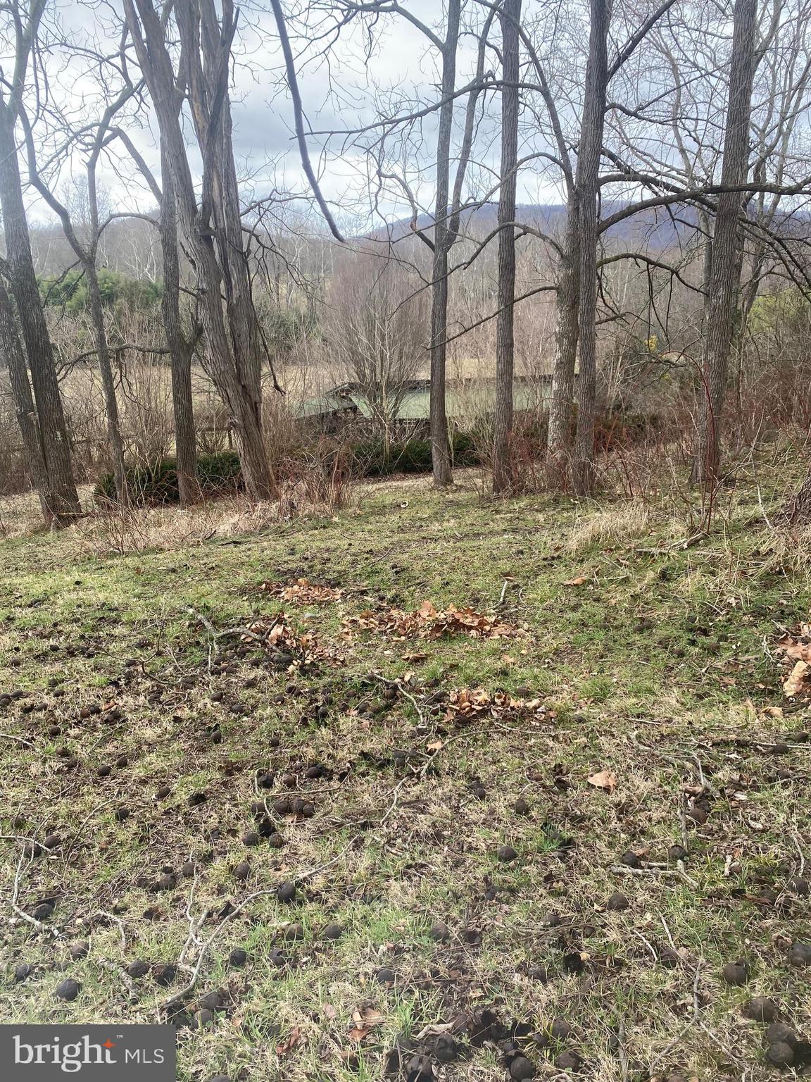 0 Tiger Valley Road Washington, VA 22747 - Photo 13 of 23 view