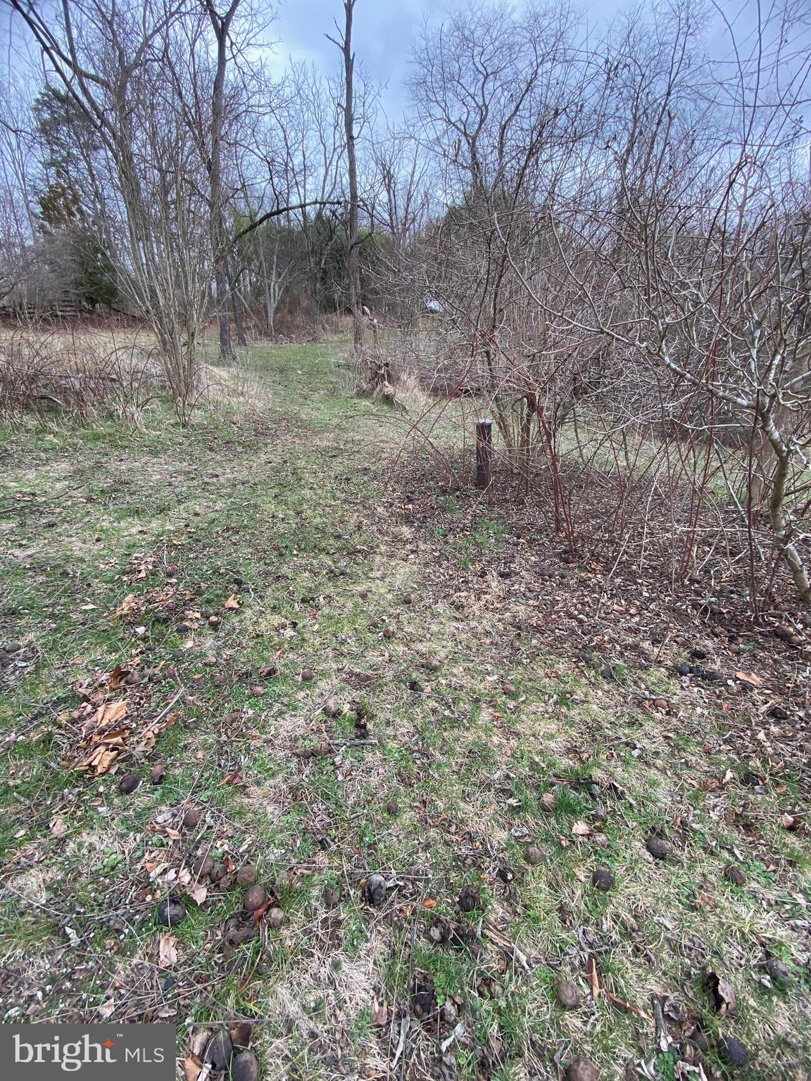 0 Tiger Valley Road Washington, VA 22747 - Photo 16 of 23 other well