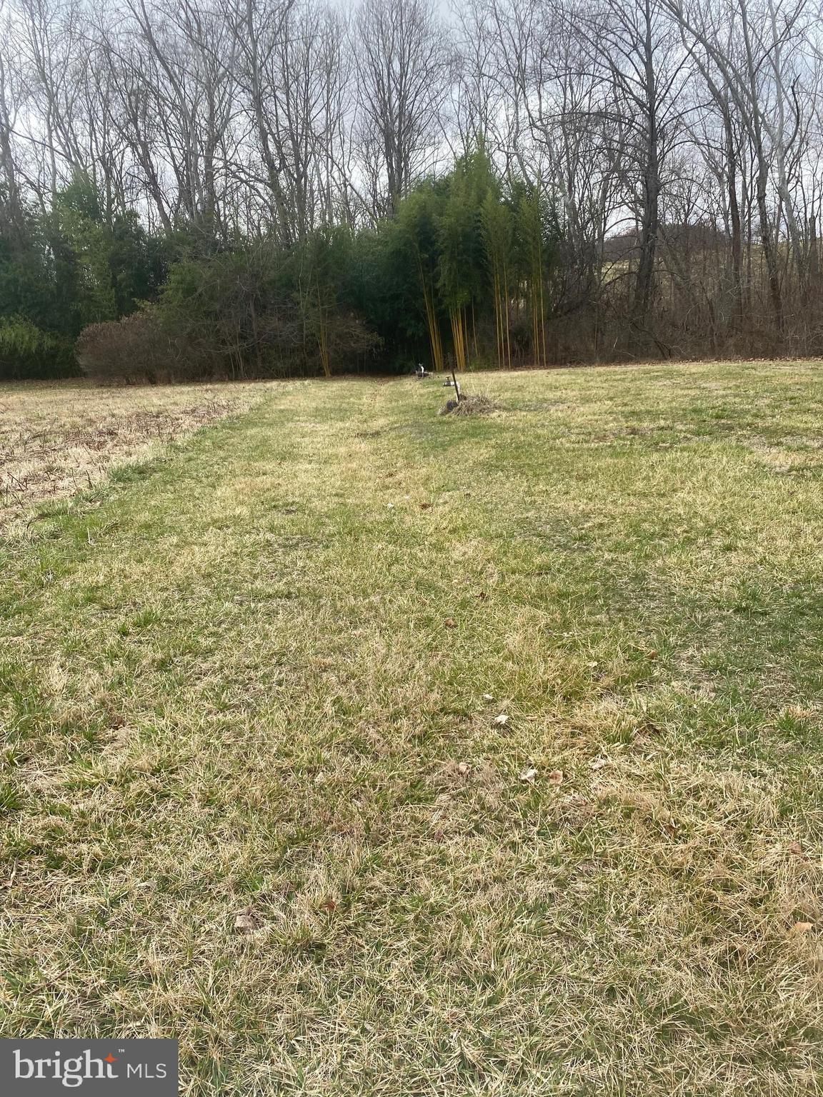 0 Tiger Valley Road Washington, VA 22747 - Photo 17 of 23 open area