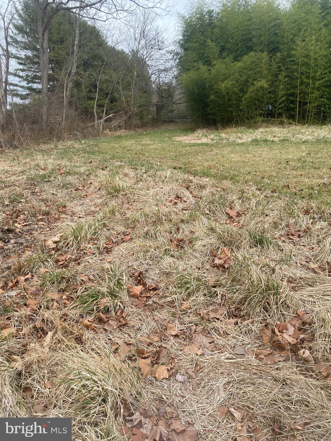 0 Tiger Valley Road Washington, VA 22747 - Photo 19 of 23 field