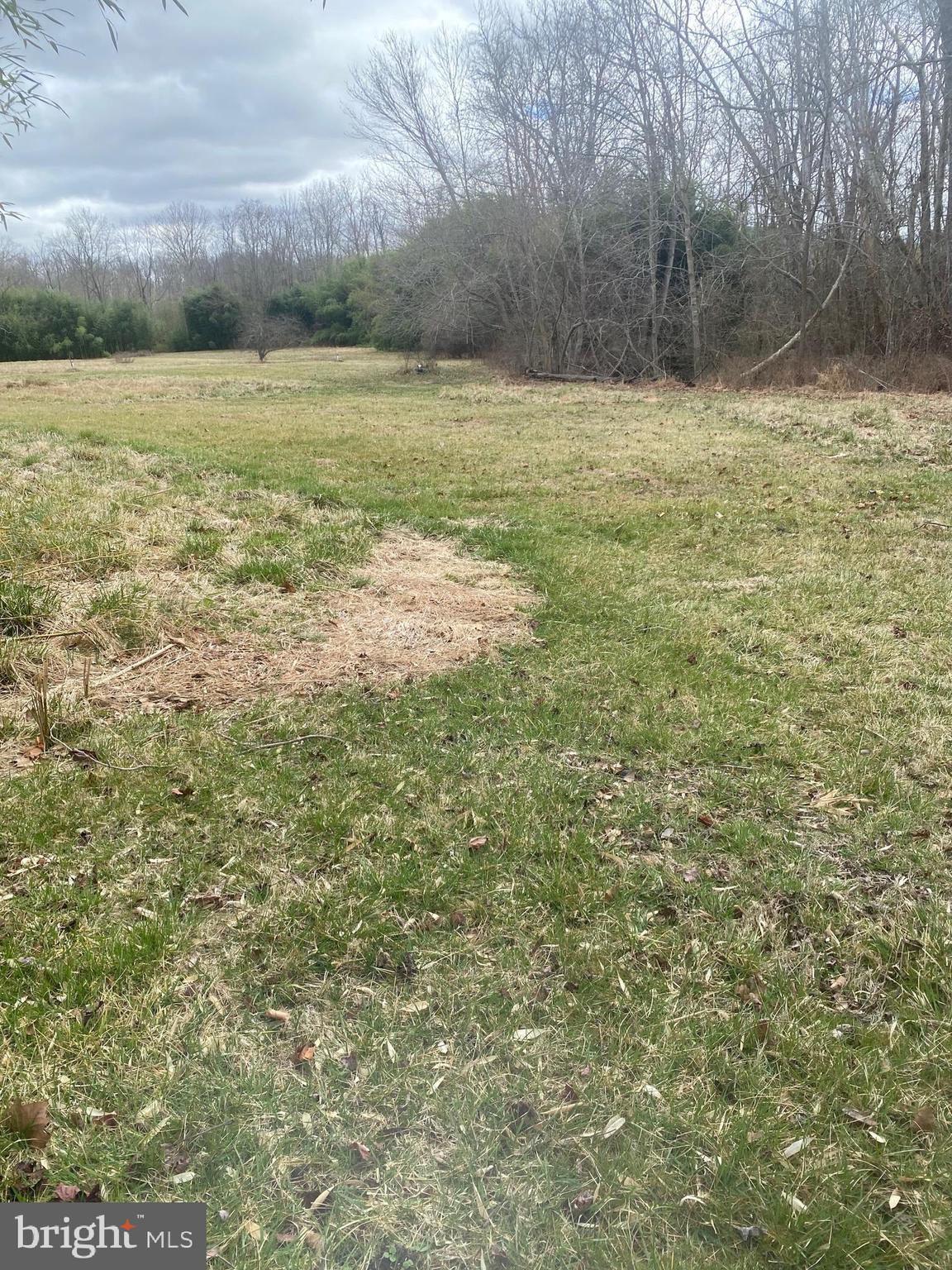 0 Tiger Valley Road Washington, VA 22747 - Photo 20 of 23 field