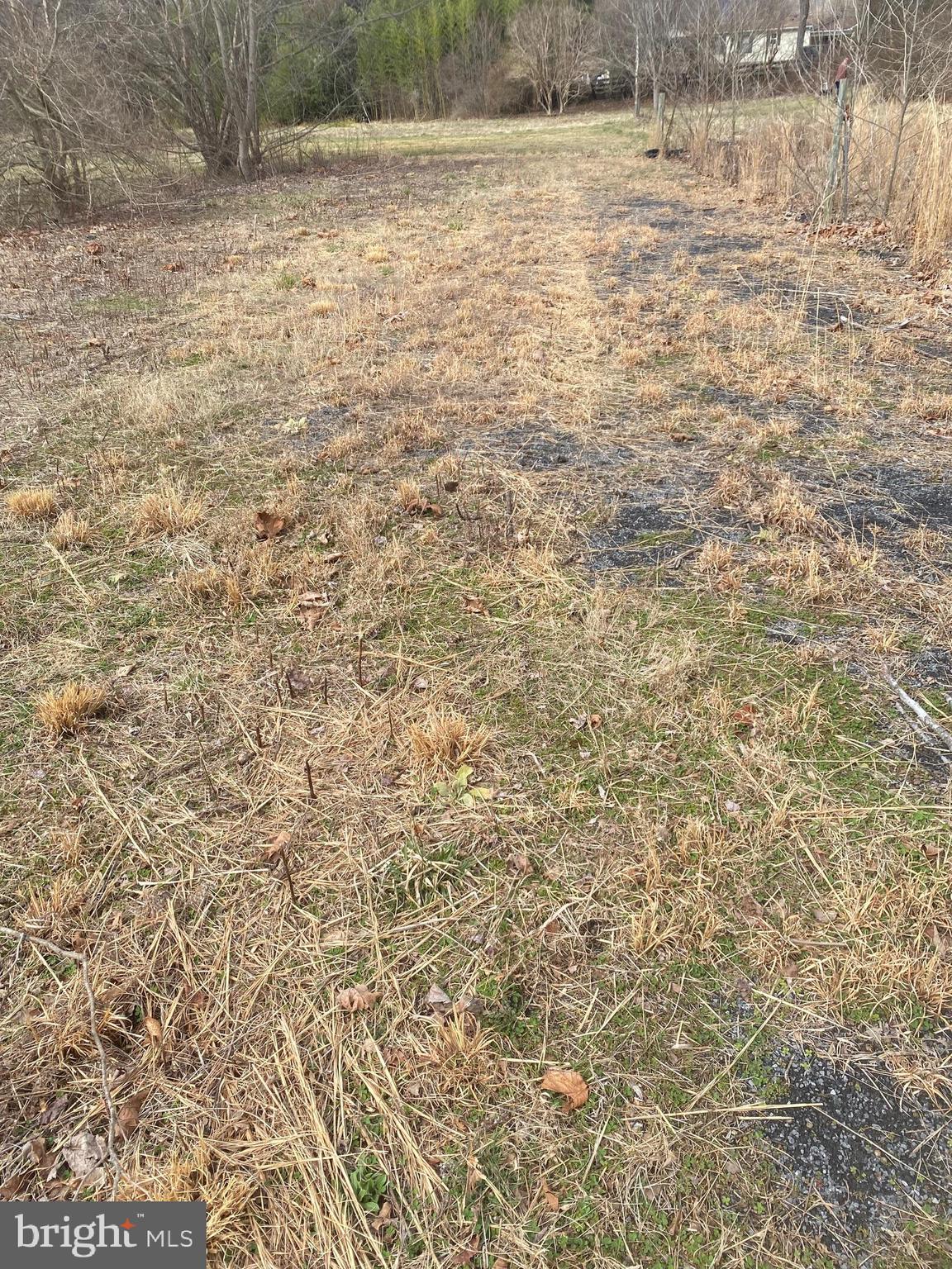0 Tiger Valley Road Washington, VA 22747 - Photo 21 of 23 built up pad for building