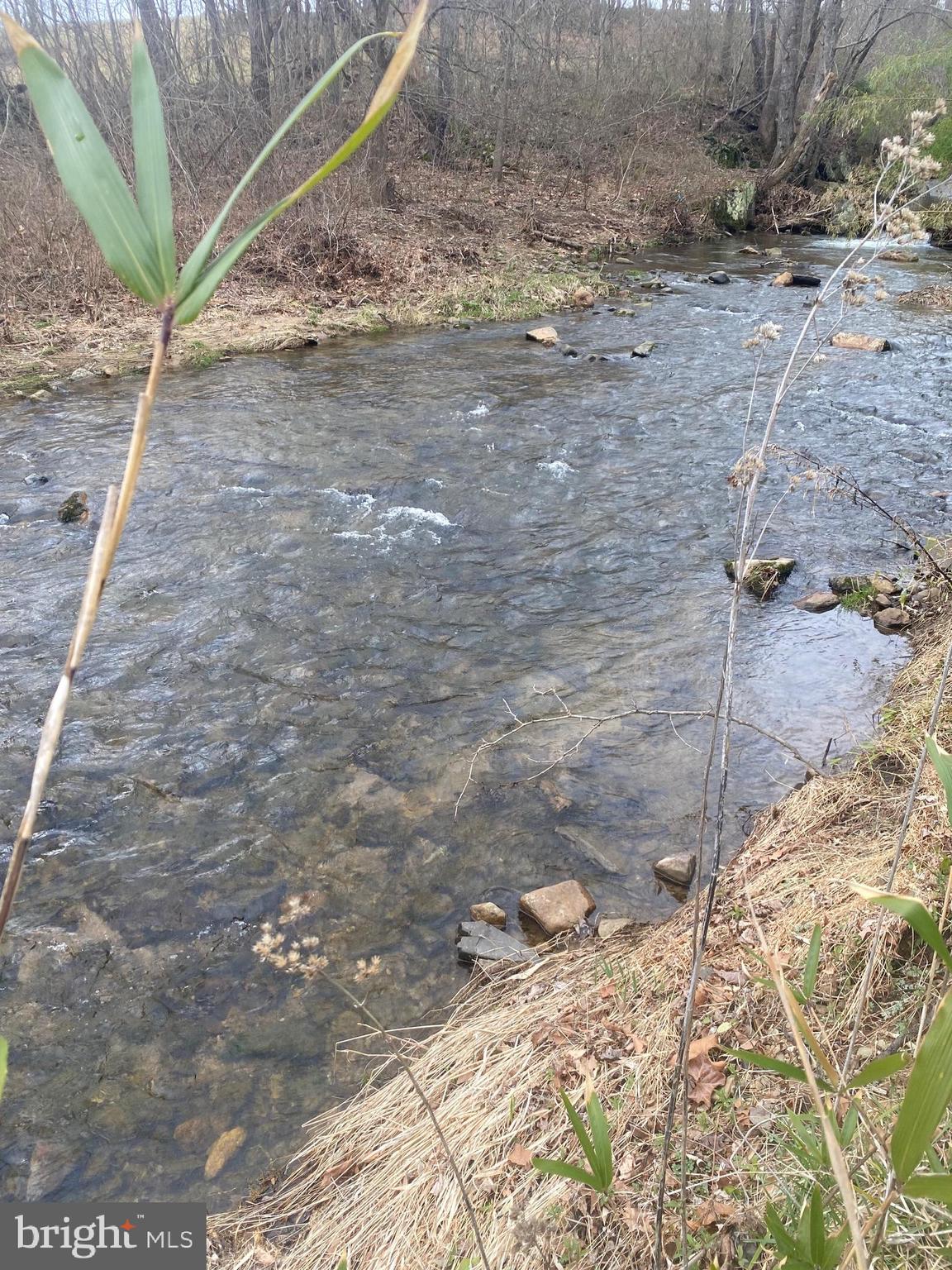 0 Tiger Valley Road Washington, VA 22747 - Photo 23 of 23 rush river