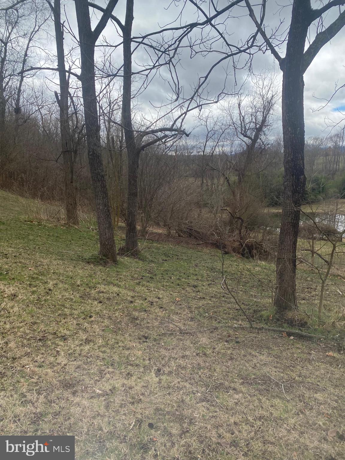0 Tiger Valley Road Washington, VA 22747 - Photo 5 of 23 view of the pond