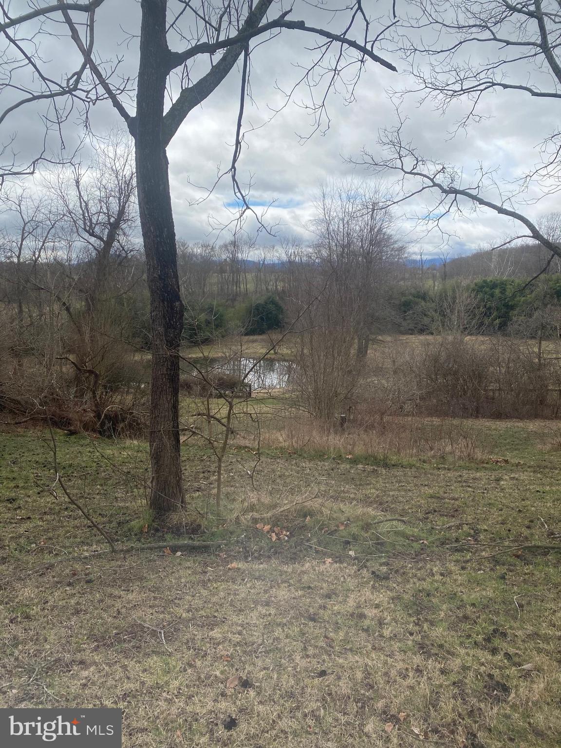 0 Tiger Valley Road Washington, VA 22747 - Photo 6 of 23 pond