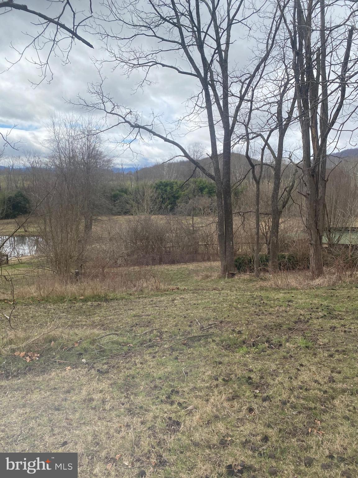 0 Tiger Valley Road Washington, VA 22747 - Photo 7 of 23 mountains and pond