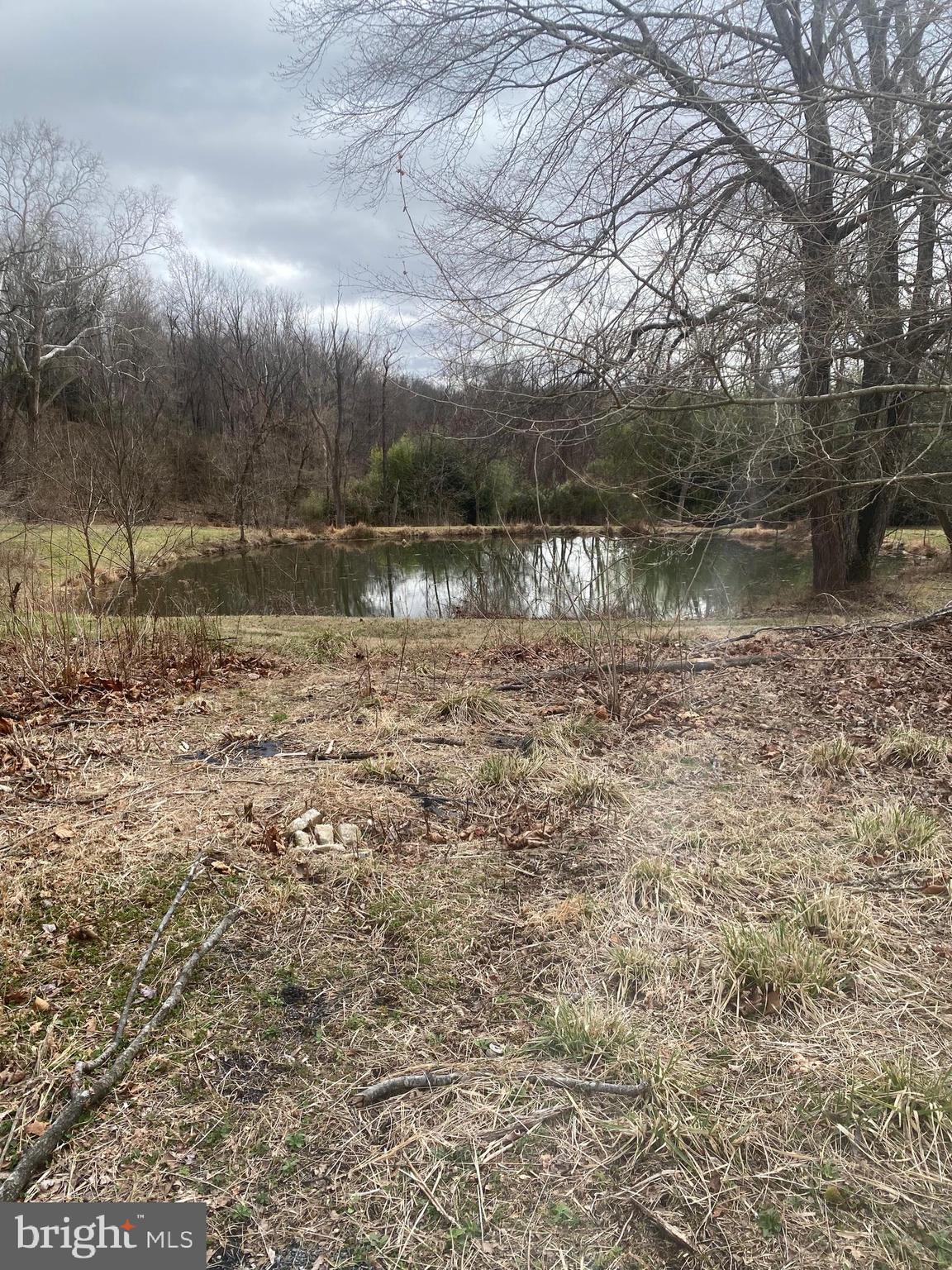 0 Tiger Valley Road Washington, VA 22747 - Photo 8 of 23 pond