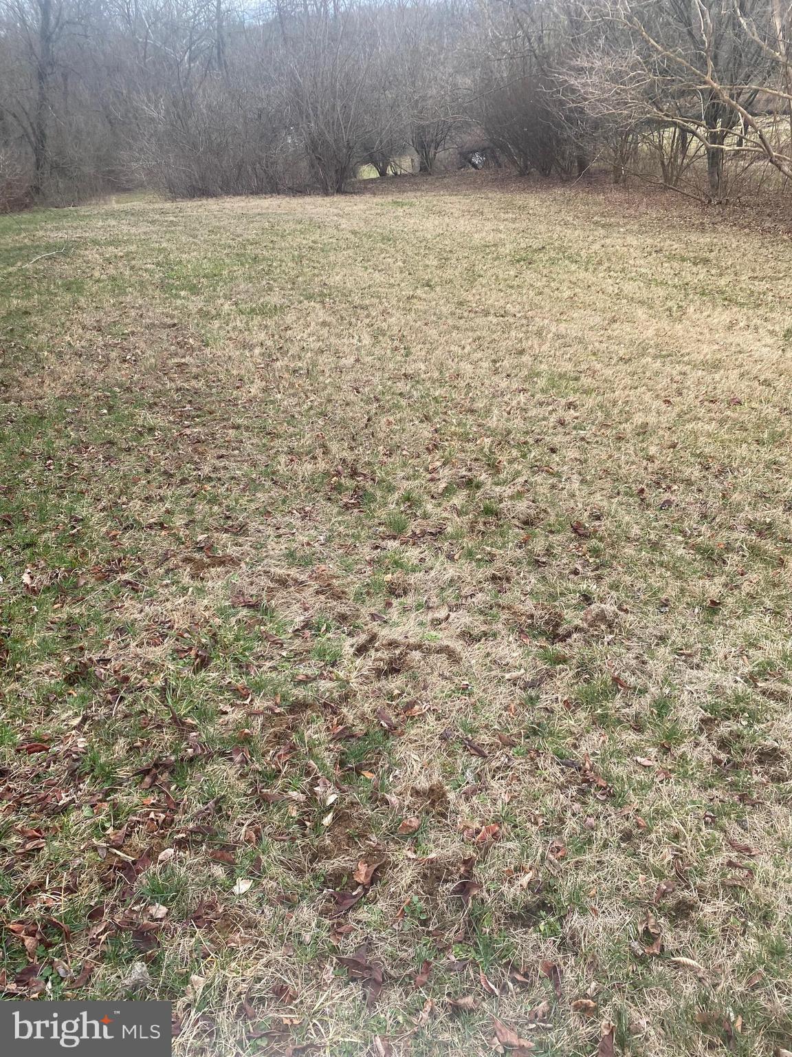 0 Tiger Valley Road Washington, VA 22747 - Photo 9 of 23 used as organic farm previously