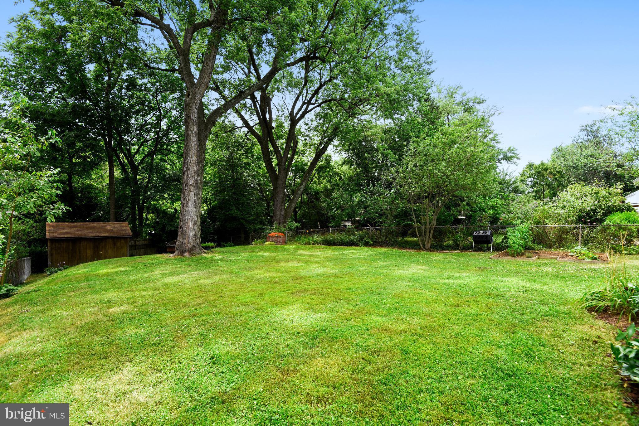 9310 Glenville Road Silver Spring, MD 20901 - Photo 24 of 30 View of the lovely back yard with shed
