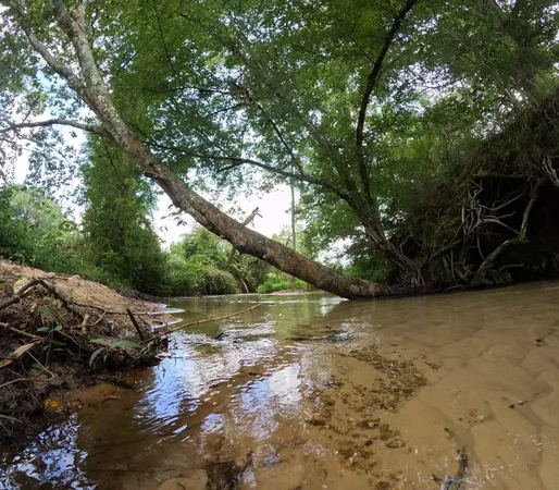$850,000 | 1608 Highway 586, Foxworth, MS 39483