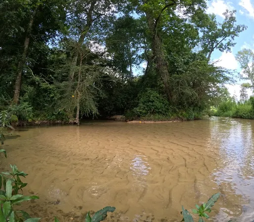 $850,000 | 1608 Highway 586, Foxworth, MS 39483