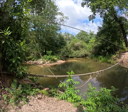 $850,000 | 1608 Highway 586, Foxworth, MS 39483