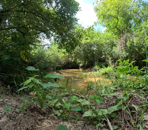 $850,000 | 1608 Highway 586, Foxworth, MS 39483