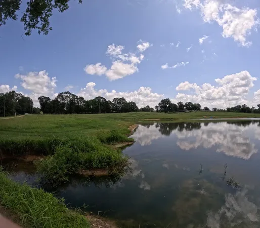 $850,000 | 1608 Highway 586, Foxworth, MS 39483