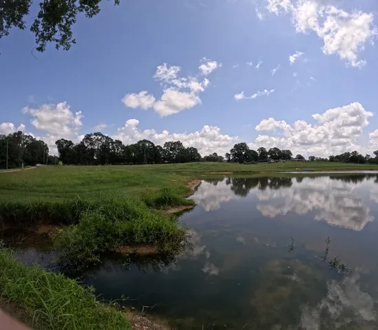 $850,000 | 1608 Highway 586, Foxworth, MS 39483