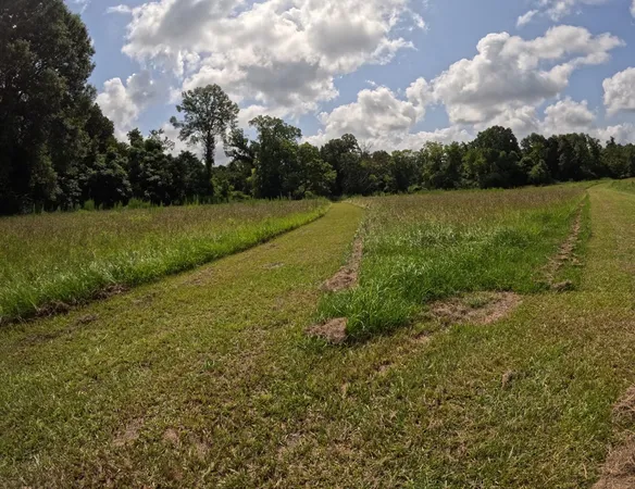 $850,000 | 1608 Highway 586, Foxworth, MS 39483