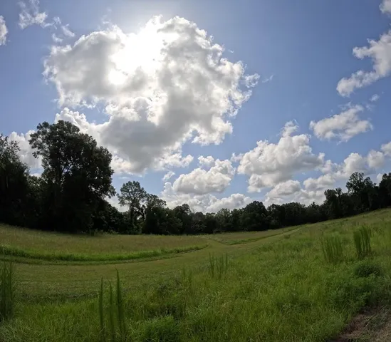 $850,000 | 1608 Highway 586, Foxworth, MS 39483