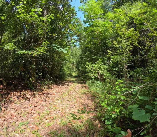 $850,000 | 1608 Highway 586, Foxworth, MS 39483