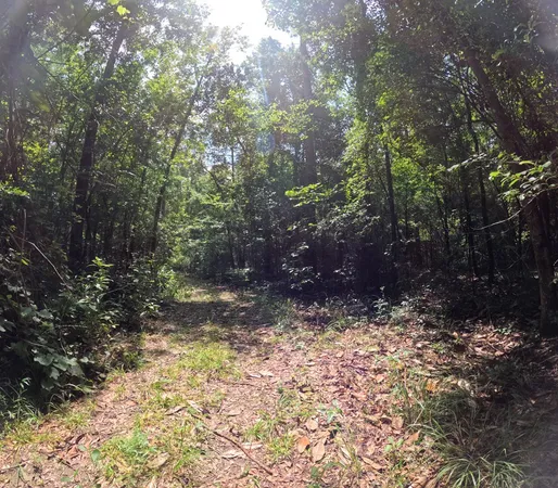 $850,000 | 1608 Highway 586, Foxworth, MS 39483
