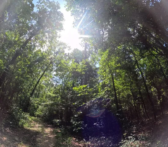 $850,000 | 1608 Highway 586, Foxworth, MS 39483