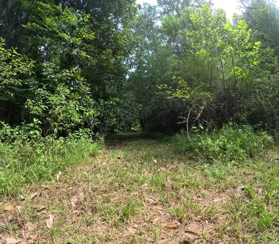 $850,000 | 1608 Highway 586, Foxworth, MS 39483