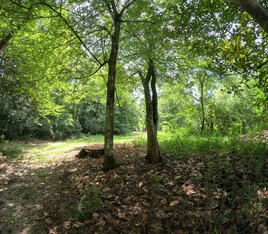 $850,000 | 1608 Highway 586, Foxworth, MS 39483