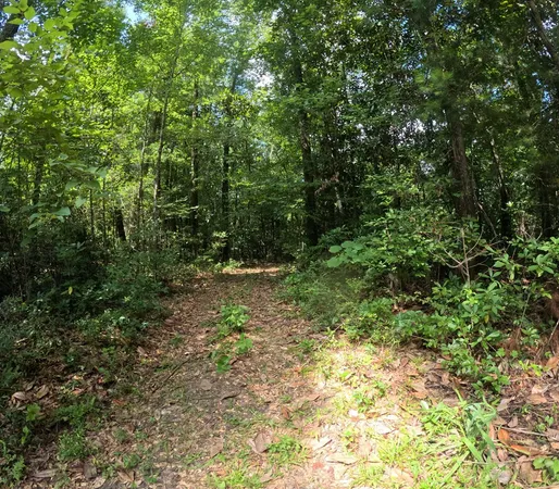 $850,000 | 1608 Highway 586, Foxworth, MS 39483