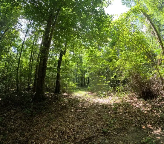 $850,000 | 1608 Highway 586, Foxworth, MS 39483