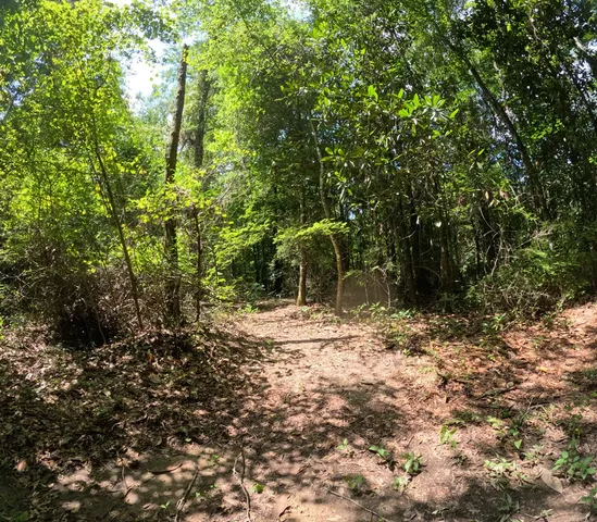 $850,000 | 1608 Highway 586, Foxworth, MS 39483