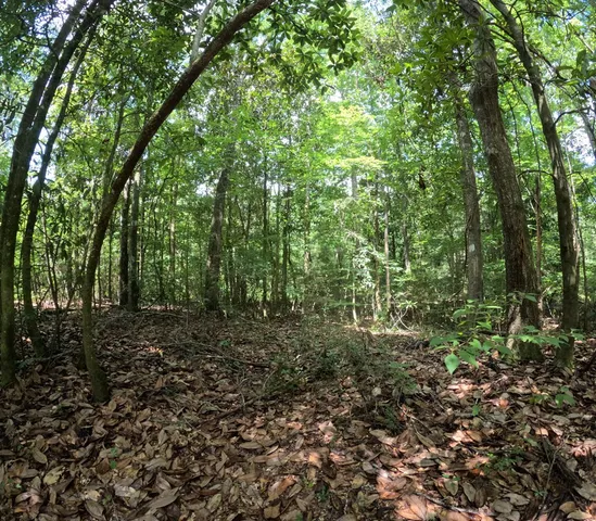 $850,000 | 1608 Highway 586, Foxworth, MS 39483