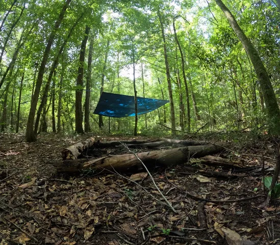 $850,000 | 1608 Highway 586, Foxworth, MS 39483