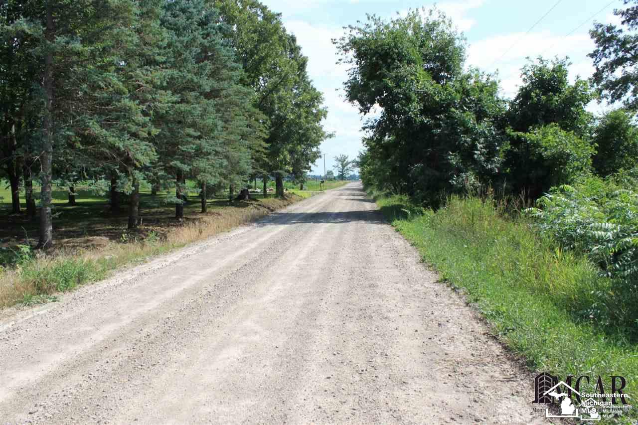 0 Finzel Road Carleton, MI 48117 - Photo 4 of 7