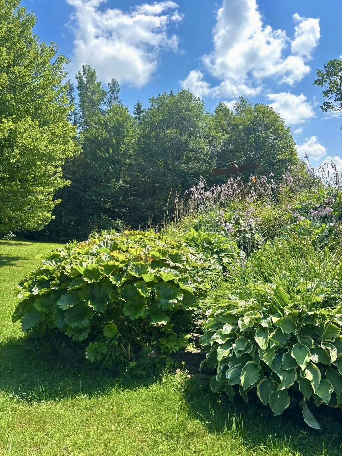 2155 Oneida Road Danville, VT 05828 - Photo 39 of 47